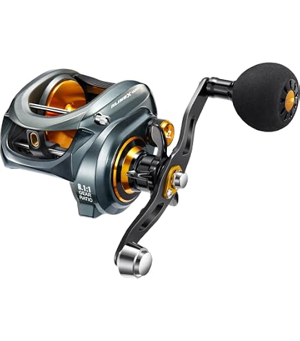 Amazon.com : Shimano TRANX 400 B Low Profile Reels (TRX401HGB